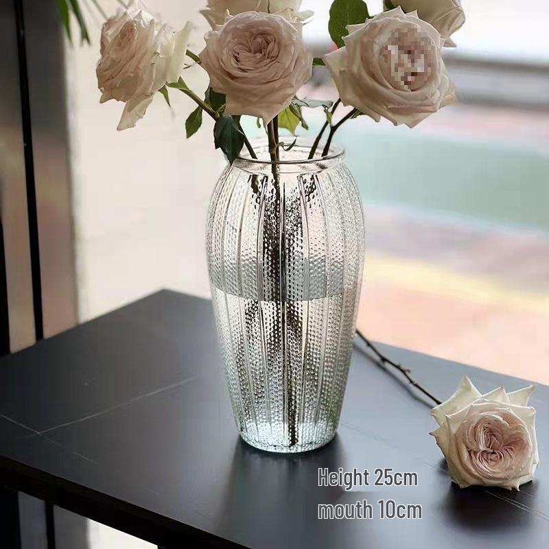 Internet Celebrity Style Transparent Glass Vase for Hydroponic Flower Arrangements - Gypsophila Display for Living Room or Dining Table