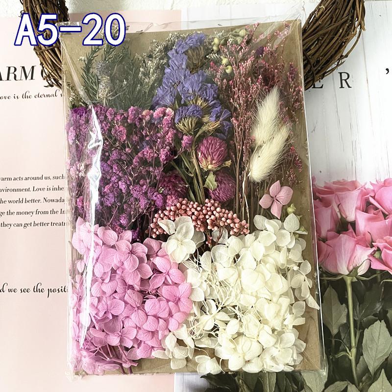 

Exquisite Eternal Dry Flower Ancient Style Group Fan Material Pack for Children s Handmade Exclusive Decoration Dried Flowers