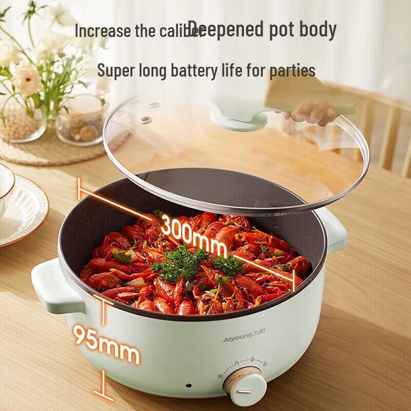 Joyoung Electric Hot Pot & Multi-Cooker CN Plug (adapter Included)