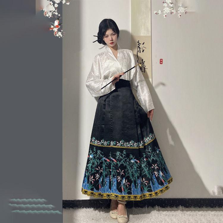 Chinese Ming Dynasty Style Daily Commuting Women's Suit