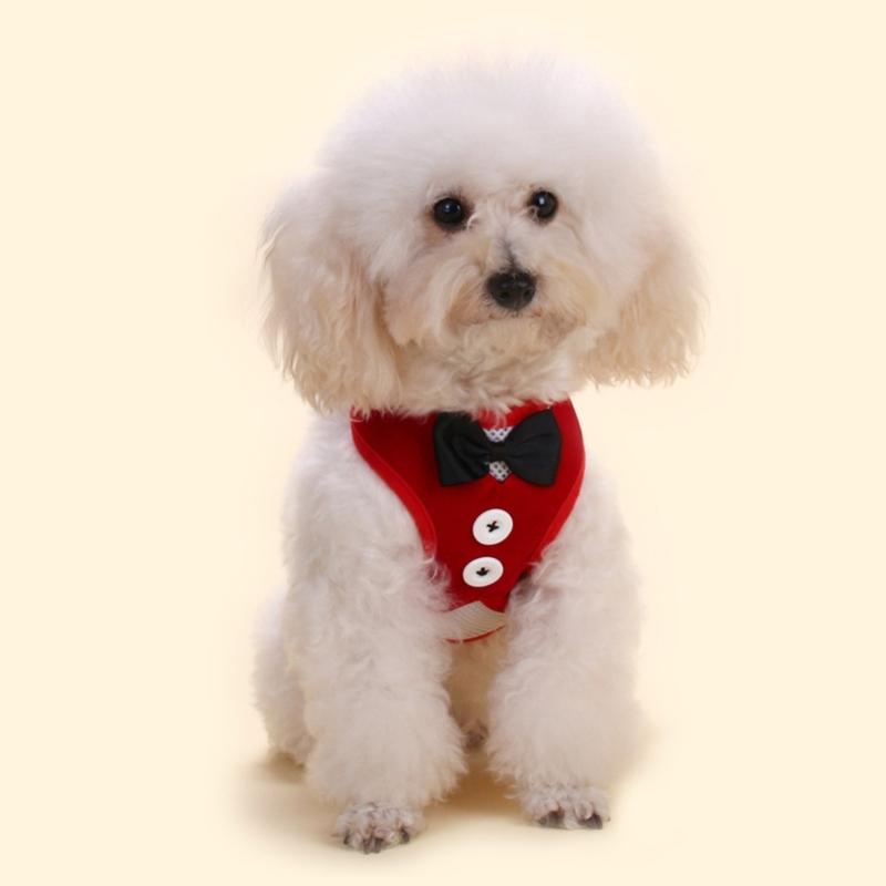 Dog Harness No Pull Small Pet Leashes Breathable Vest No Choke Harnesses 4 Feet Long Durable Leash for Small Dog