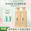 Adolf Ginger Shampoo (Anti Hair Loss and Fixation) National Makeup Certificate 2 Bottles Plus 2 Samples for Free