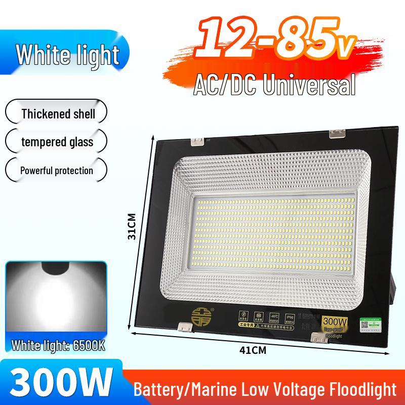 Yaming Marine LED Floodlight: 100W Outdoor Waterproof Spotlight for 12V/24V/36V DC Battery