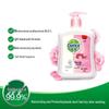 Dettol Healthy Antibacterial Hand Wash - Floral Scent (2x450g)