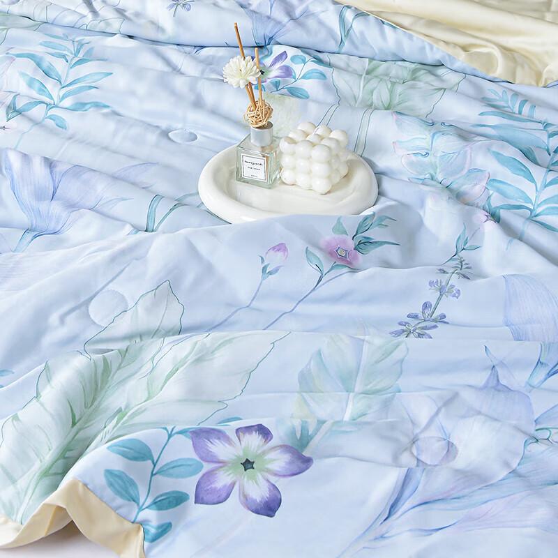 Jeliya Dream Jiangnan Tencel Summer Quilt