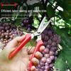 Heavy-Duty Pruning & Harvesting Shears for Fruits, Vegetables, and Orchard Gardening, Ideal for Grape Pruning and Garden Thinning.