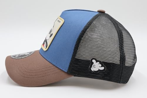 Disney Patch Mesh Cap DMK-MCP03 BLUE×BROWN