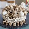 Halloween Mini Skull Figures 20Pcs Collectible Creative Miniature Skeleton Heads for DIY Jewelry Making Craft Decor