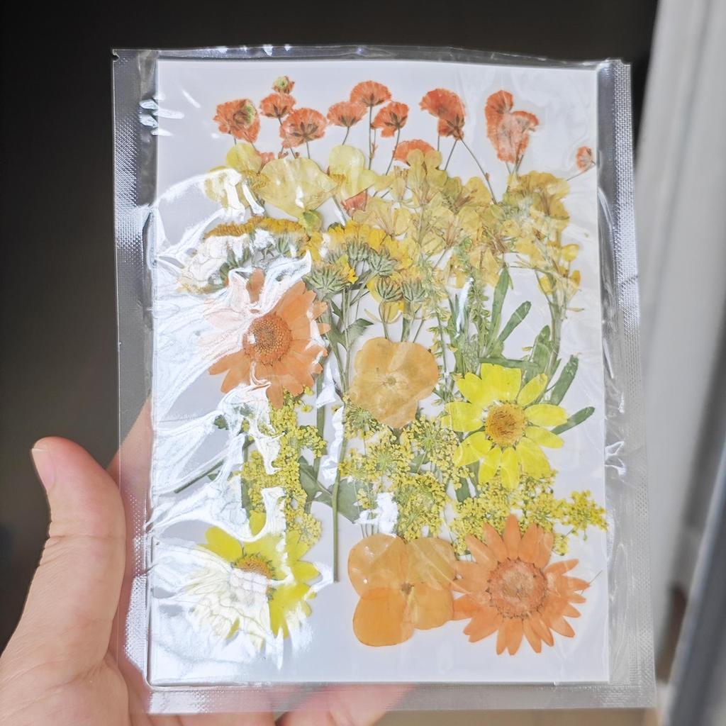 Dried Flower Embossing Material Package, Face Decoration, Eye Corner Photo, Petal Diy Glue Frame, Plant Specimen