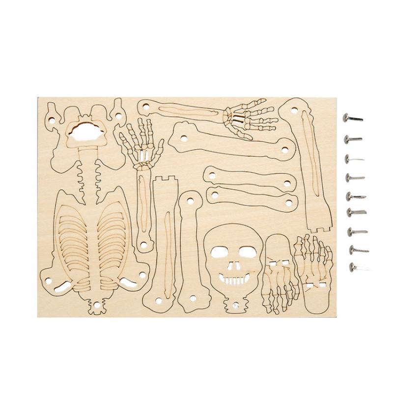 Menschliches Skelettmodell DIY-Technologie Kleines Skelett Montage Lehrmittel Kinderpuzzle Handgefertigtes Materialpaket