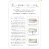 Kawai "Correct Chopsticks for Correct Chopstick Holding" Made In Japan, Animal Club Cat, 18cm, 104973