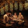 D5 Außen Garten 1 Stück Künstliche Pflanzen Solar Hängeleuchten LED Lichterkette Solar Lampe Außenleuchte Veranda Hochzeit Dekoration