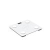 Westinghouse Smart Body Fat Scale (CN Version)