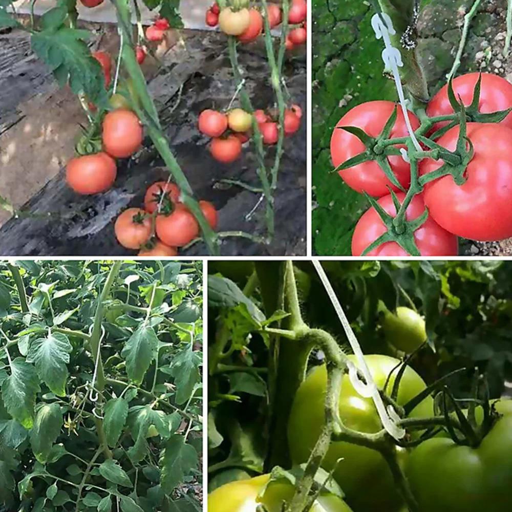 100/Adet Bitki Domates Destek J Şeklinde Kancalar Yeniden Kullanılabilir Sebze Bitkileri Askısı Sarmaşıklar Sabit Toka Kancaları Bahçecilik Malzemeleri İçin