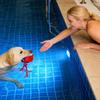 Interactive Dog Ball Automatic Moving Chewable Automatic Moving Dogs Ball For Small Medium Large Puppy Home Indoor Outdoor Pool