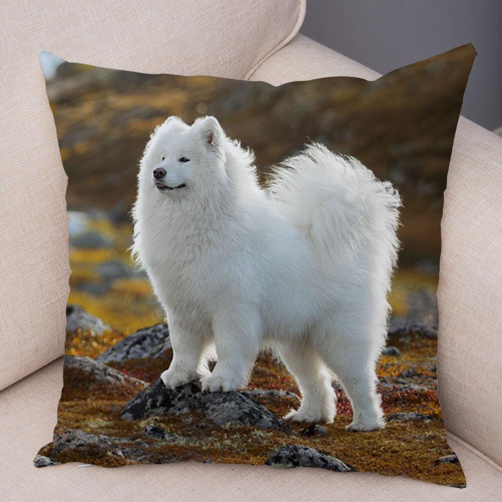 50 Stil Husă de Pernă Câine Alb Drăguț Samoyed Decor Husă de Pernă Animal de Companie Iubitor Husă de Pernă Moale de Pluș pentru Canapé Cameră Copii