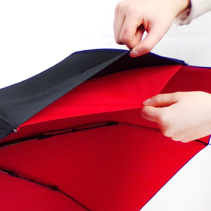 Automatic Double-Layer 10-Rib Windproof Umbrella