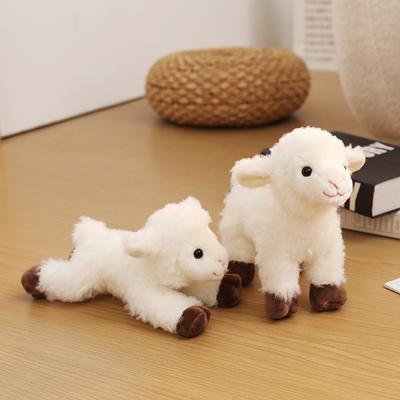 Bebek ve Peluş Oyuncaklar – Doldurulmuş ve Peluş oyuncak hayvanlar