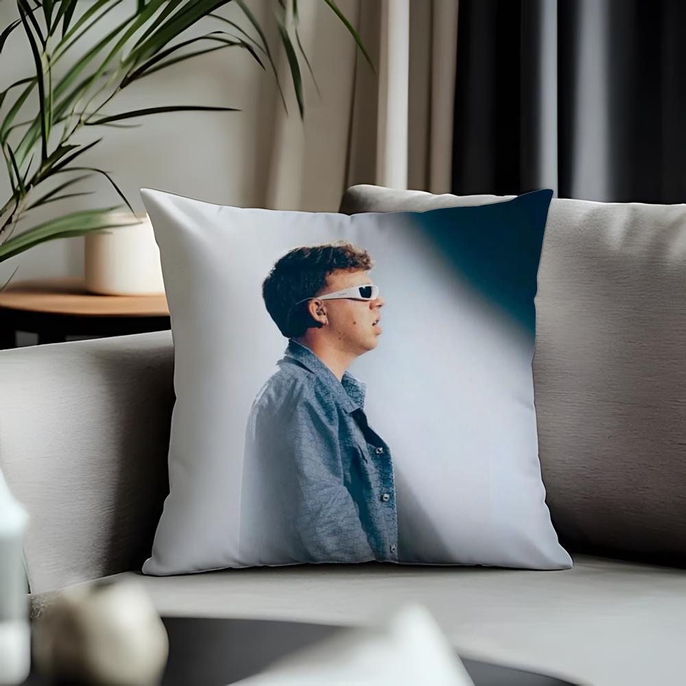Fashion Qquevadoing Cushion Cover Antidustmite Pillowcase Invisible Zipper Silky Short Plush Sofa Cushion Cover