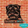 Custom Affenpinscher Dog Metal Wall Art, Personalized Name Sign for Pet Lovers