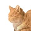 Figurine Sleeping Cat Statue Compact Decorative Resin Animal Sculpture for Dining Room