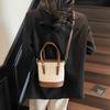 Today's popular niche bucket bag women's spring new simple shoulder messenger bag fashionable small bag