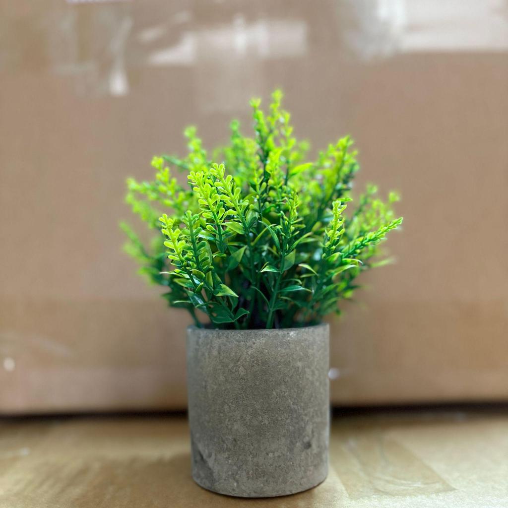 Small Potted Eucalyptus Artificial Plant for Shelf, Desk, or Table Decoration