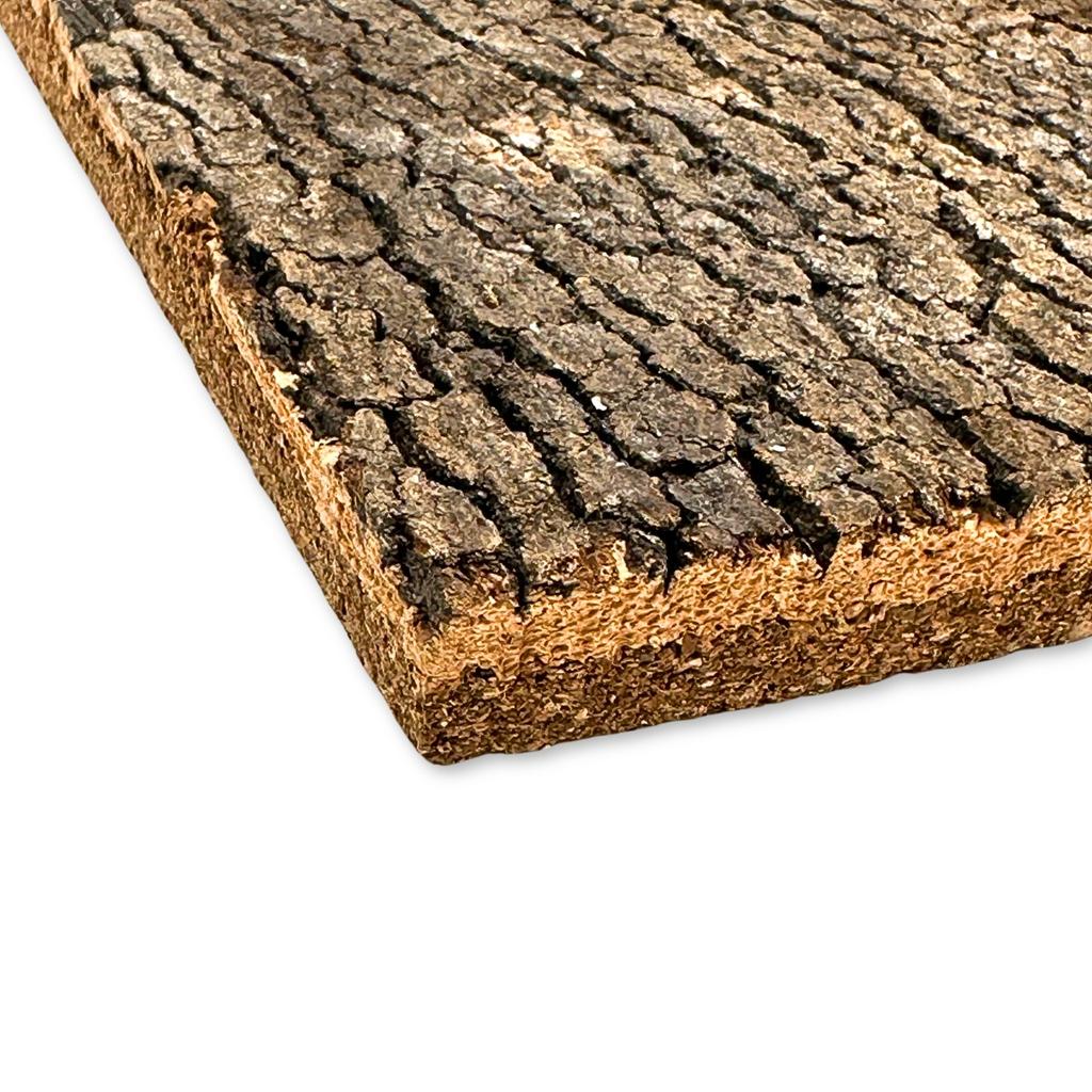 BioVirgin Cork Background Dark 30x20cm Cork Background for Terrariums