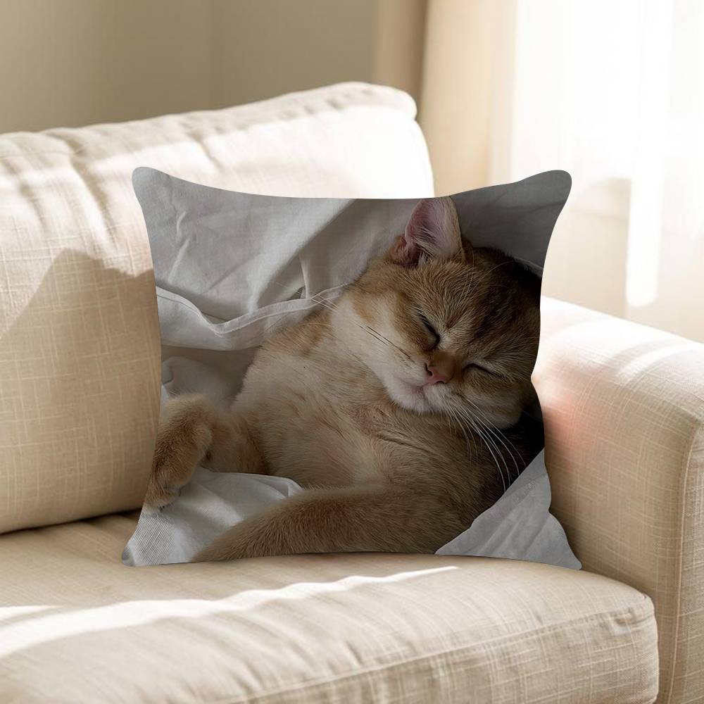 Korean Ins Cute Healing Sleeping Cats Cushion Cover Pillowcase Upholstery Sofa Throw Pillow Home Decor Pillowcas