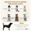 Dog Sofa, Pet Couch Bed for Medium, Large Dogs, with Legs, Cushion - Grey