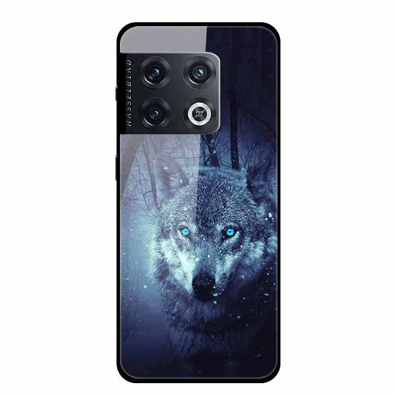 For One plus 10 Pro Case Shockproof Tempered Glass Hard Back Cover For OnePlus 10 Pro 10Pro Oneplus10 1+10 Pro Bumper Coque Case