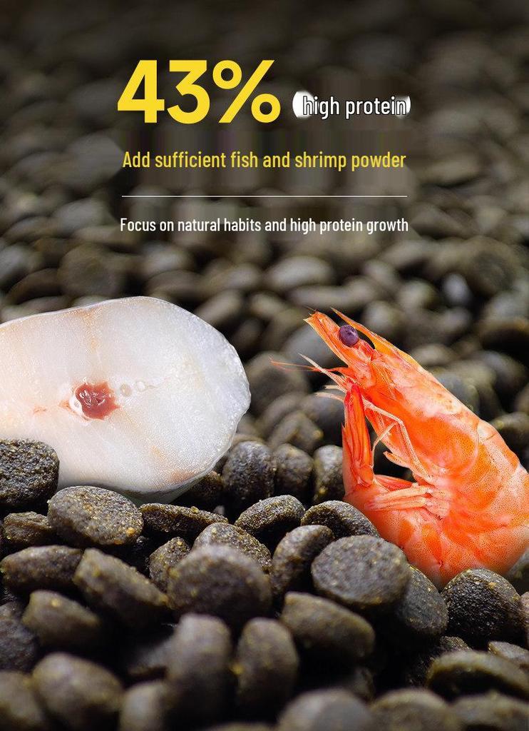Dolphin Girolar High Protein Fish Food - Blue, Red, Gold Variants - Sinking, Color-Changing, Growth Formula for Bottom Feeders