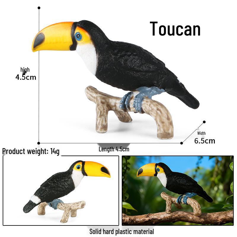 Kids' Bird Model Set: Toucan, Parrot, Ostrich, Peacock, Eagle, Pigeon, Owl.