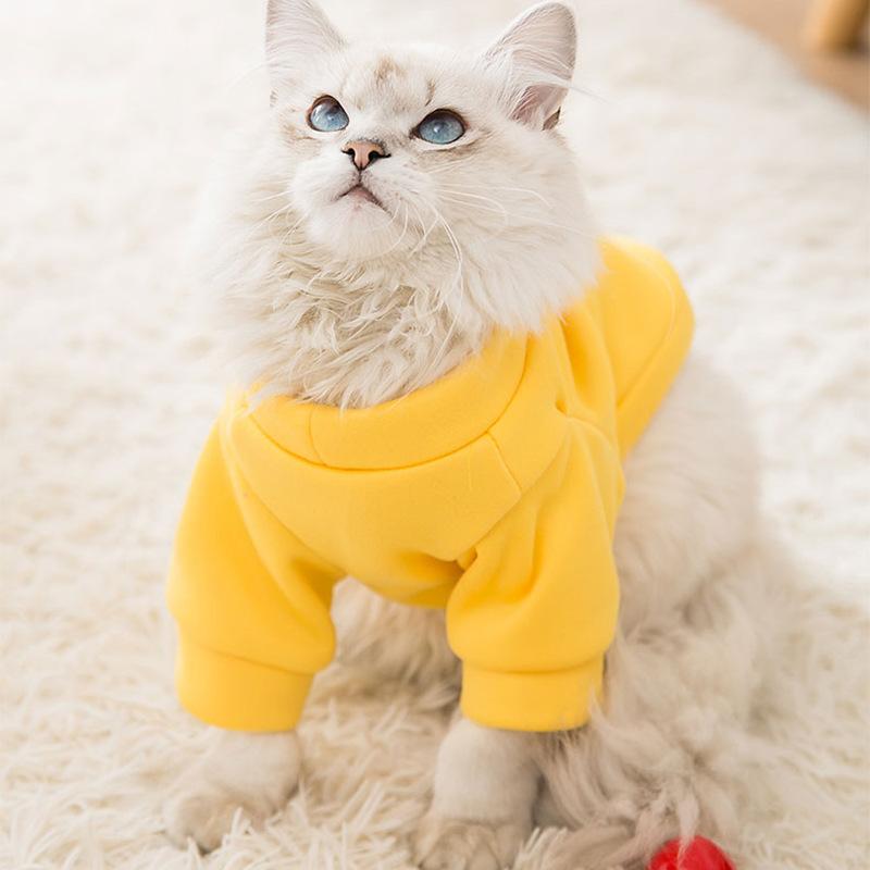 Pet Clothes Autumn Thin Velvet Two-legged Cat Kitten Warm Cartoon Bear Small Dog Puppy Dog Teddy Clothing