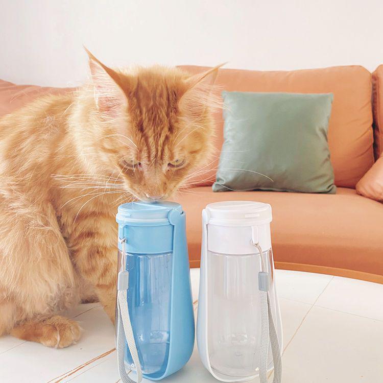 Portable Folding Pet Water Bottle - Outdoor Travel Cup for Dogs and Cats