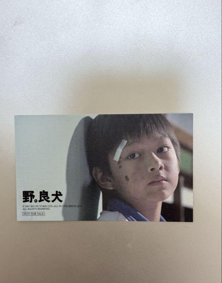 

[USED] Stray Dog SEVENTEEN Jun Bonus 1st Week