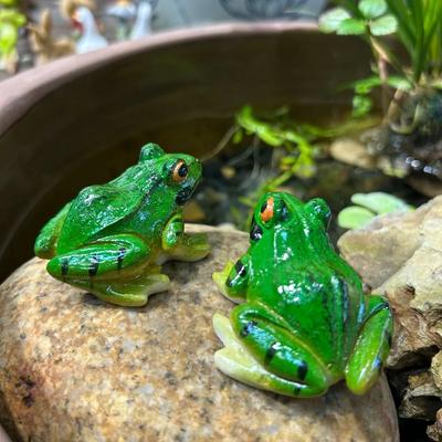 Akvariedjur – Akvarietillbehör