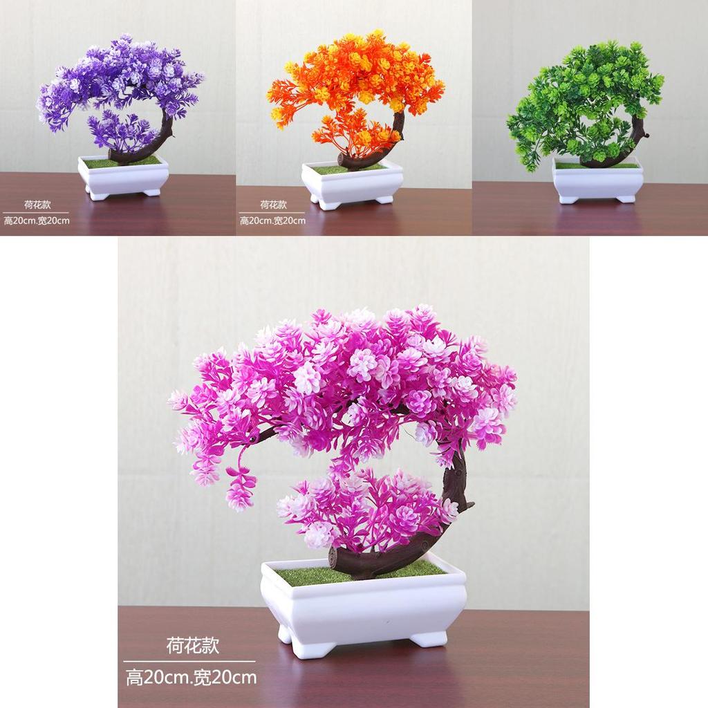 Plastic Bonsai Terrarium With Creative Design For Indoor Garden Display