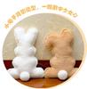 Creative Plush Rabbit Doll Cushion - Girls' Birthday Gift