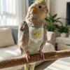 Atmungsaktive Netztier Papageienwindel Druckknopfverschluss Vogelweste Waschbare Vogel-Fluganzüge Outdoor-Reise