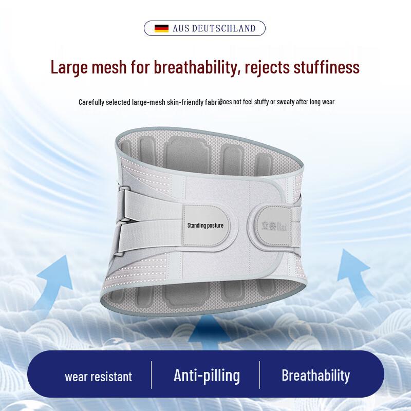 Lizi Lumbar Support Belt