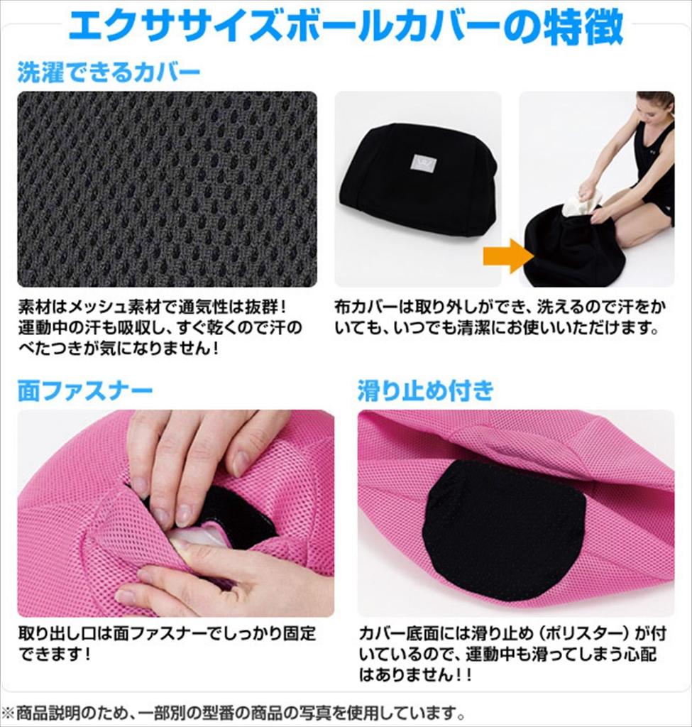 ALINCO Exercise Ball Cover for 65cm WB1251K