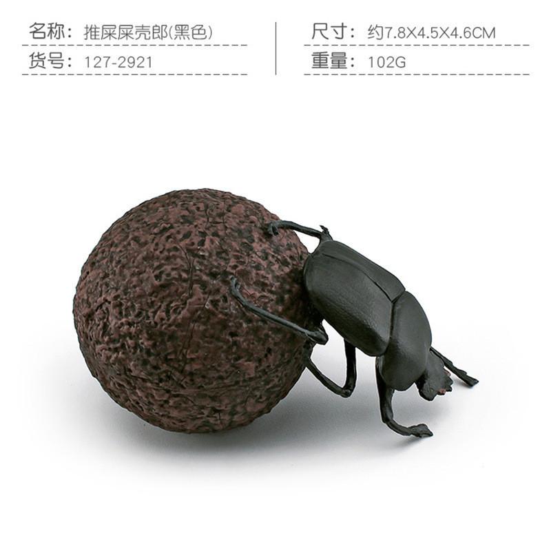 Vibrant Pvc Dung Beetle And Beetle Models Set Of 8 Realistic Insect Figurines For Home Decor