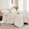 Playboy Soft & Warm Cotton Cover Winter Comforter