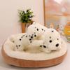 Cute Spotted Dog Doll Plush Toy Puppy Dog Doll Children's Soothing Ragdoll Girl Birthday Gift