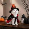 Halloween Wizard Cloak for Pets 1 Set Cat Witch Costume, Black Cape And Hat, Moon Pet Costume Star Pointed Hat Cats Small Medium Dogs Festive