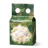 babycare Camellia 6-Ply Moisturizing Cloud Soft Tissues