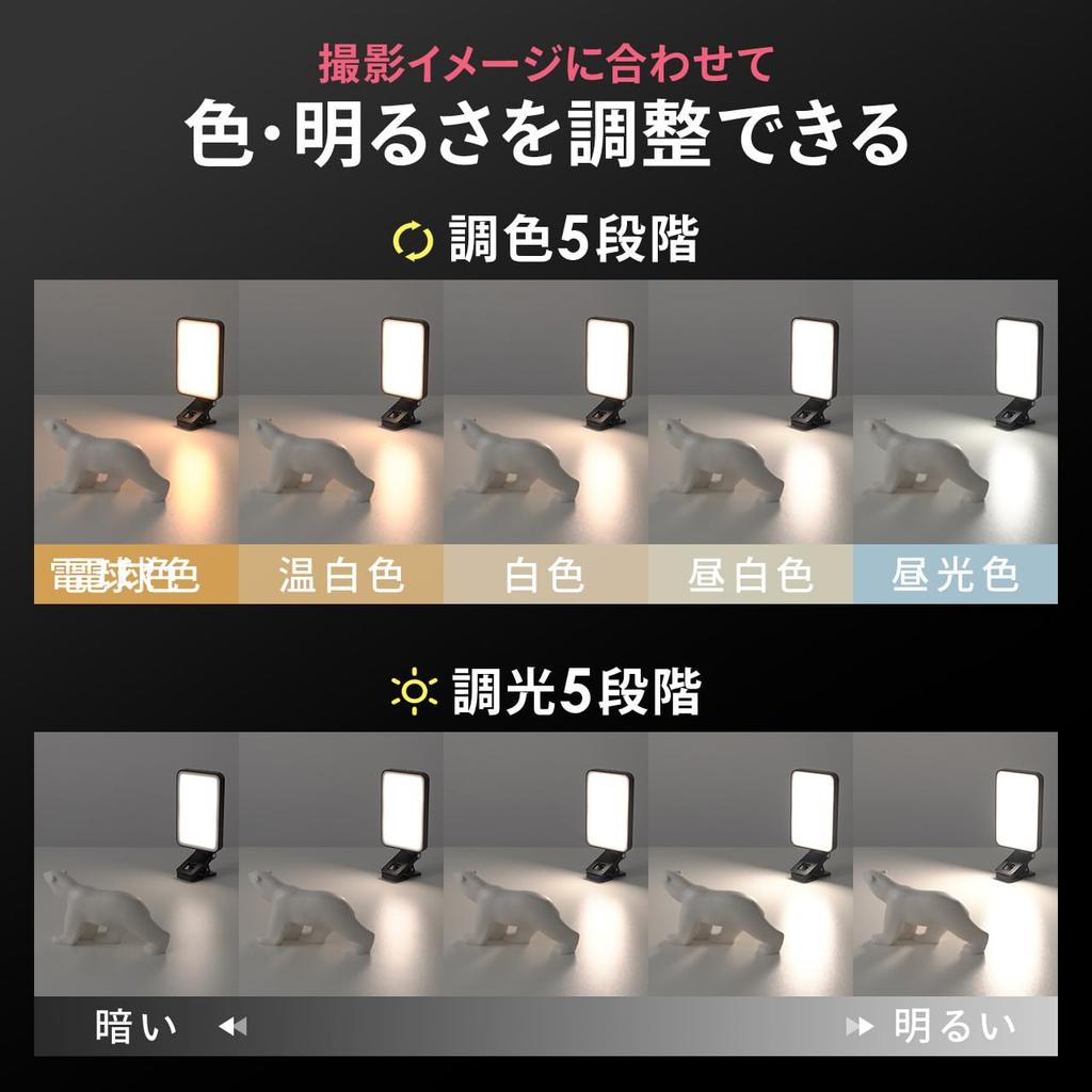 Sanwa Direct LED Photography Light, 250 Lumens, Rechargeable, with Clip, Shoe Mount, Tripod Mount, for Cameras, Smartphones, and DSLRs, Product