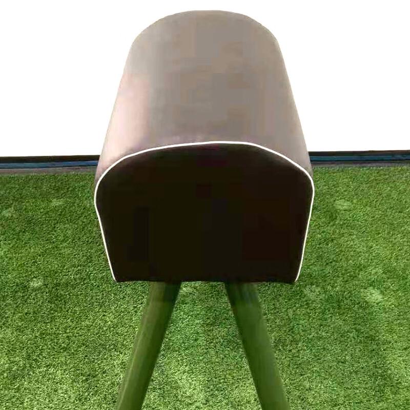 Longchan Gymnastics Pommel Horse