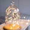 String Lights Battery Powered, Decor String Lights Party String Lights Decorative String Lights Led Slice String Lights